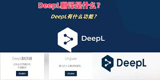 DeepL 专业术语无法正确翻译？术语库与自定义词条方法