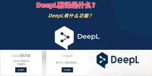 DeepL 翻译特定语言专业术语出错？问题概述？