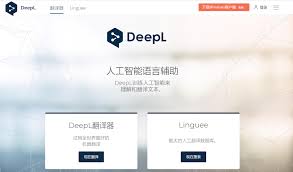 DeepL 翻译特定语言专业术语出错？自定义词条与词库优化